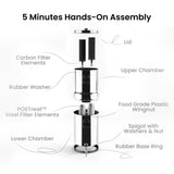 Whole-house water filtration