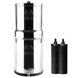 A stainless steel Phoenix Gravity water filter system with a tap and two black carbon filters.